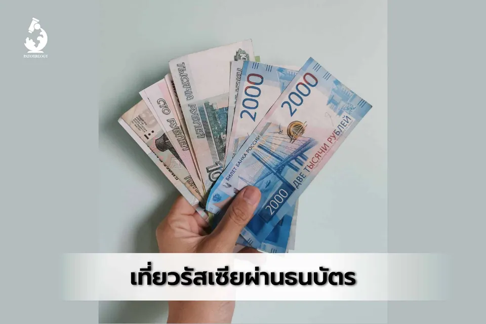 มือกำลังถือธนบัตรหลายใบที่เรียงซ้อนกัน โดยเห็นตัวเลข 2000 และ 1000 บนธนบัตรสีฟ้าและชมพูอย่างชัดเจน