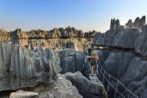 Tsingy de Bemaraha: ทิวทัศน์หินแหลมคมเรียงรายเป็นแถว มีสะพานไม้แขวนพาดผ่านหุบเขา โดยมีนักท่องเที่ยว 2 คนกำลังเดินข้ามสะพาน