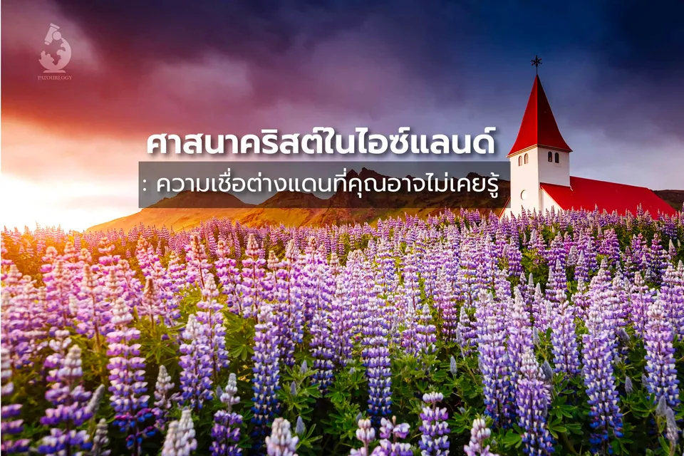 ทุ่งดอกไม้สีม่วงและชมพูบานสะพรั่งทอดยาวไปจนถึงเนินเขา โดยมีอาคารสีขาวหลังคาแดงตั้งอยู่ด้านขวาภายใต้ท้องฟ้าสีเข้ม
