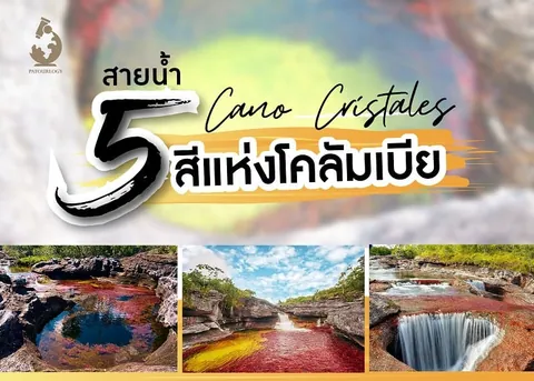 ภาพรวมของแหล่งน้ำสีสดใสสามแห่ง พร้อมข้อความ "สายน้ำ 5 Cano Cristales สีแห่งโกลัมเบีย" และโลโก้ PATOUBIOLOGY