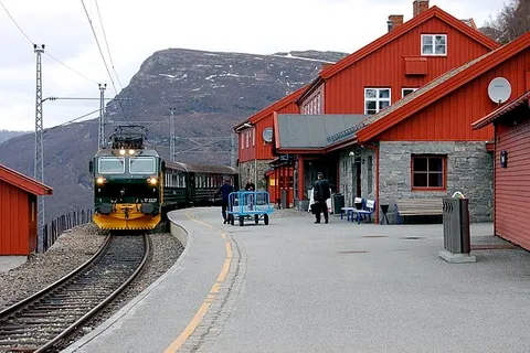 Myrdal Station, เครดิตรูปภาพ : Giorgio Giorgetti