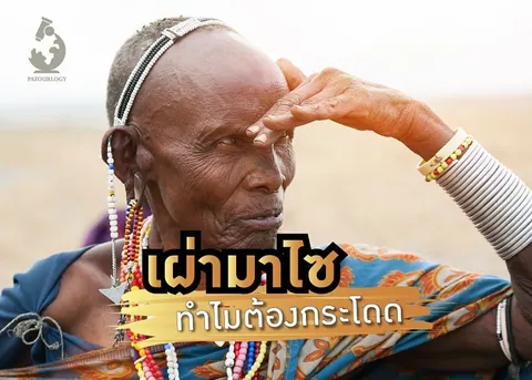 ภาพบุคคลสวมเครื่องประดับลูกปัดและผ้าคลุมสีน้ำเงิน มีข้อความภาษาไทย "เผ่ามาไซ ทำไม่ต้องกระโดด" ทับอยู่ตรงกลาง