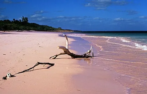 Bahamas Eleuthera_PinkSand,Harbour Island เครดิตรูปภาพ : Rüdiger Stehn