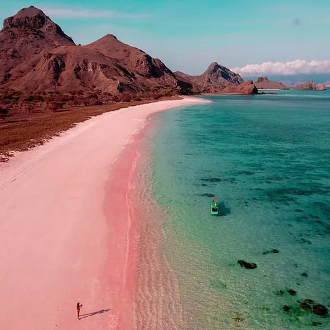 Pink Beach,Padar Island, Komodo National Park เครดิตภาพโดย : Devagonal