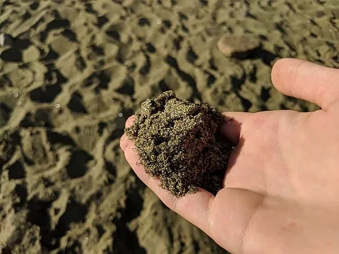 Green sand at Papakolea in Hawaii เครดิตภาพ : Aren Elliott