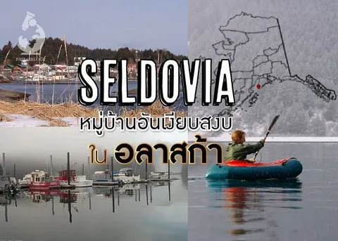 ภาพรวมสี่ส่วนแสดงท่าเรือและบ้านเรือนริมทะเลสาบ แผนที่อลาสก้า และคนกำลังพายเรือยาง พร้อมข้อความ SELDOVIA
