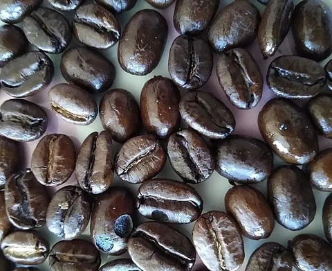เมล็ดกาแฟ เครดิตภาพ Mx. Granger