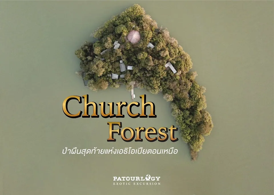 ภาพมุมสูงของเกาะกลางน้ำที่ปกคลุมด้วยต้นไม้เขียวขจี มีอาคารหลังคาสีเทากระจายตัวอยู่ และมีข้อความ "Church Forest" สีทองเด่นชัด