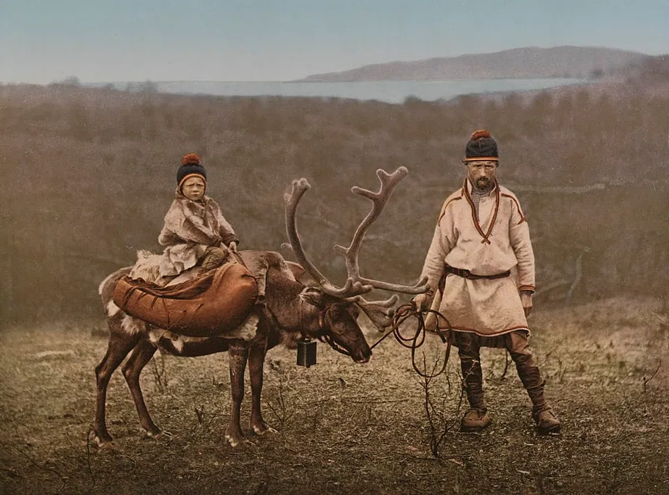 Sami and reindeer
