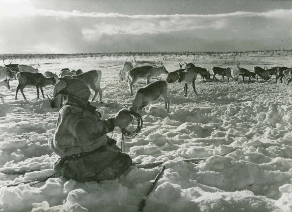 Sami people north of Arctic Circle, Norway