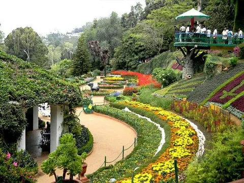 สวนกุหลาบอูตี (Ooty Rose Garden) มีแปลงดอกไม้หลากสีเรียงเป็นแถวตามเนินเขา มีทางเดินคดเคี้ยวและระเบียงสีเขียวพร้อมหลังคาตั้งอยู่ด้านขวา