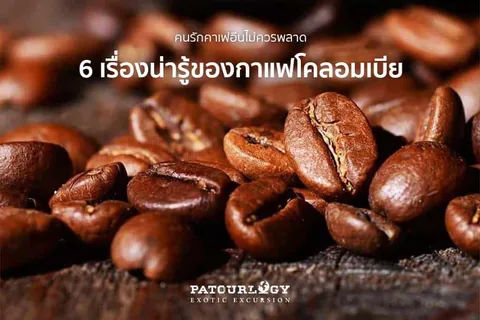 เมล็ดกาแฟคั่วสีน้ำตาลวางเรียงกันบนพื้นผิวไม้ พร้อมข้อความภาษาไทย '6 เรื่องน่ารู้ของกาแฟโคลอมเบีย' และโลโก้ PATCURLGY EXOTIC EXCURSION