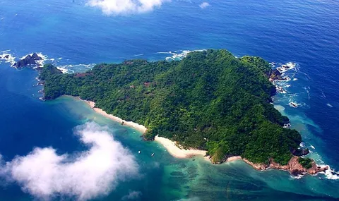 ภาพมุมสูงของเกาะทอร์ทูกา (Tortuga Island) ที่ปกคลุมด้วยป่าไม้สีเขียว มีหาดทรายสีขาวและน้ำทะเลสีฟ้าคราม