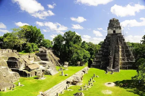 ภาพมุมสูงของโบราณสถานติกาลในกัวเตมาลา แสดงพีระมิดหินขนาดใหญ่ทางขวา ลานหญ้าเขียวขจี และโครงสร้างหินขั้นบันไดเรียงรายท่ามกลางต้นไม้ใหญ่