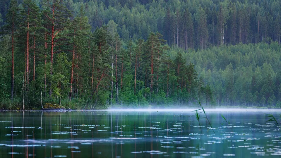 ทะเลสาบ Saimaa