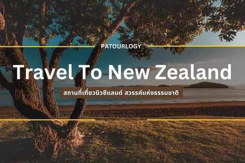ภาพต้นไม้ใหญ่ริมทะเลทราย มีข้อความ "Travel To New Zealand" และ "PATOURLOGY" พร้อมข้อความภาษาไทย "สถานที่เที่ยวนิวซีแลนด์ สวยระดับหนังฮอลลีวูด"
