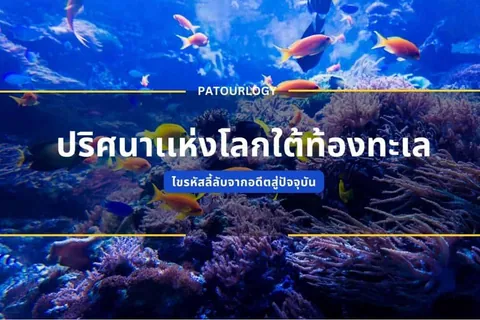 ภาพใต้ทะเลที่มีแนวปะการังและฝูงปลาหลากสี พร้อมข้อความภาษาไทย "ปริศนาแห่งโลกใต้ท้องทะเล" และ "PATOURLOGY" อยู่ตรงกลาง