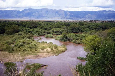 Virunga