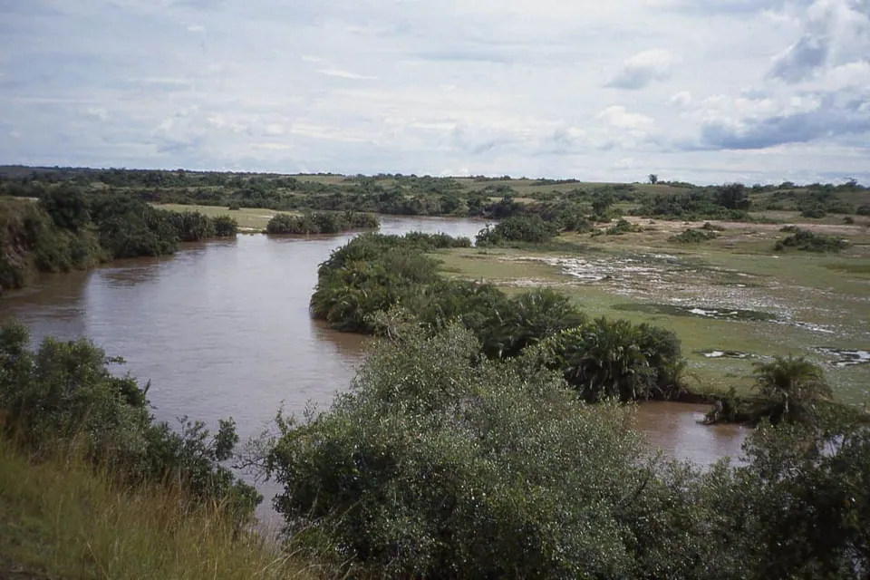 Virunga