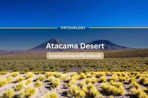 ภาพปก Atacama Desert แสดงทุ่งหญ้าแห้งและภูเขาสองลูกใต้ท้องฟ้าสีคราม
