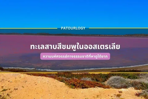 ภาพทะเลสาบสีม่วงอมชมพูทอดยาวใต้ท้องฟ้าสีฟ้าเข้ม มีเนินทรายและพุ่มไม้เตี้ยอยู่ด้านหน้า พร้อมข้อความไทยและคำว่า PATOURLOGY ทับบนภาพ