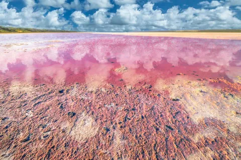 ทะเลสาบสีชมพู