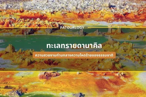 ภาพภูมิทัศน์ธรรมชาติที่มีพื้นผิวสีส้มและเหลืองสลับกับแอ่งน้ำสีเขียว มีข้อความภาษาไทย "ทะเลทรายดินาكيل" และ "PATOURLOGY" แสดงอยู่ตรงกลาง