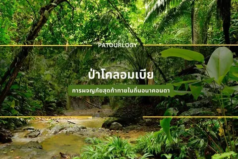 ภาพป่าไม้เขียวขจีที่มีลำธารน้ำไหลผ่านพื้นดิน มีข้อความ "PATOURLOGY" และ "ป่าโคลอมเบีย" ปรากฏอยู่กลางภาพ