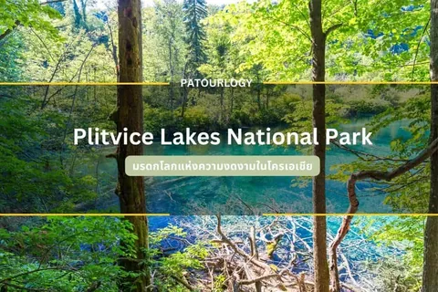 ภาพป่าไม้เขียวขจีที่มีลำธารสีฟ้าใสไหลผ่าน โดยมีข้อความ "Plitvice Lakes National Park" และ "PATOURLOGY" ปรากฏอยู่ตรงกลาง