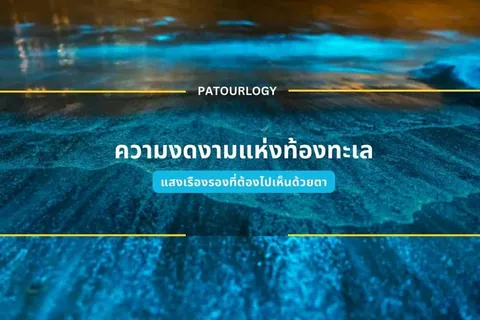 ภาพพื้นหลังสีน้ำเงินเข้มมีพื้นผิวคล้ายน้ำหรือหิน มีข้อความสีขาวว่า PATOURLOGY และข้อความภาษาไทยว่า ความงดงามแห่งท้องทะเล