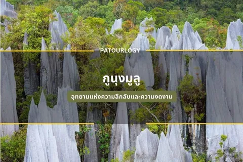 ทิวทัศน์ของหินรูปทรงกรวยสีขาวจำนวนมากเรียงตัวกันท่ามกลางพุ่มไม้สีเขียว มีข้อความ 'PATOURLOGY' และ 'ภูผาหมอก' ปรากฏอยู่ตรงกลางภาพ