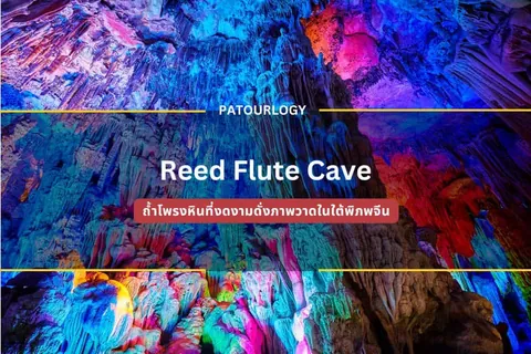 ภาพภายในถ้ำที่มีหินงอกหินย้อยส่องแสงสีฟ้า ชมพู และม่วง พร้อมข้อความ "Reed Flute Cave" และ "PATOURLOGY" อยู่ตรงกลาง
