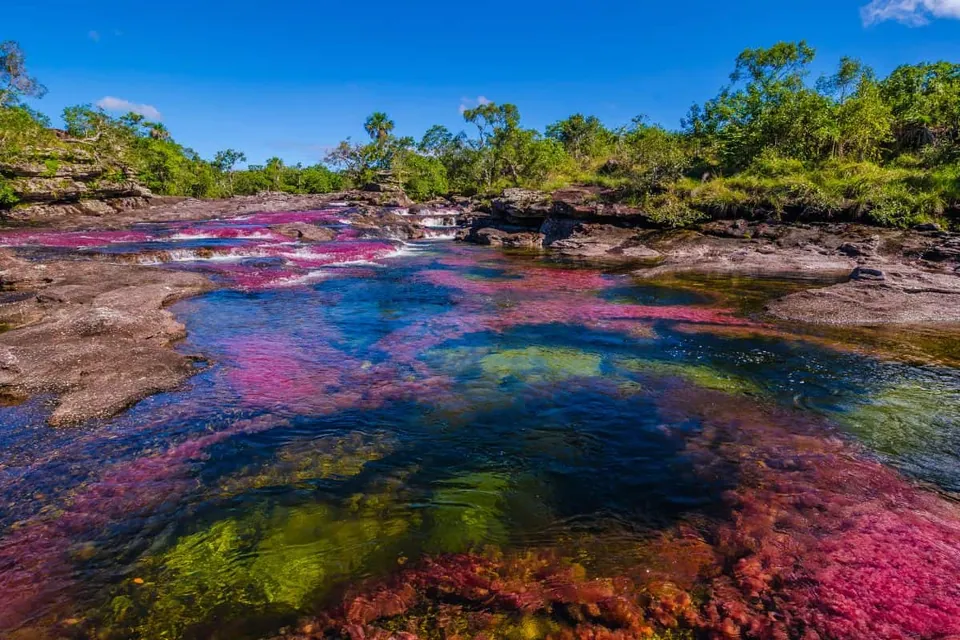 ภาพแอ่งน้ำตื้นบนโขดหินที่มีสีแดง ชมพู และเขียวกระจายอยู่รอบๆ ขอบน้ำมีต้นไม้สีเขียวขึ้นอยู่ภายใต้ท้องฟ้าสีฟ้า