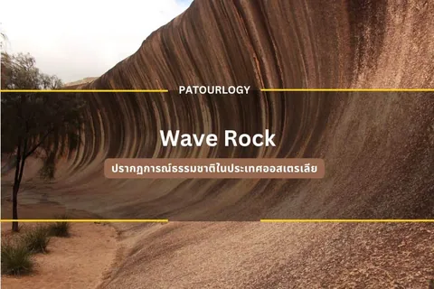 ภาพหน้าผาหินสีน้ำตาลที่มีลวดลายเป็นชั้นคลื่น มีต้นไม้และพุ่มหญ้าอยู่ด้านซ้าย พร้อมข้อความ 'Wave Rock' และ 'PATOURLOGY' อยู่ตรงกลาง