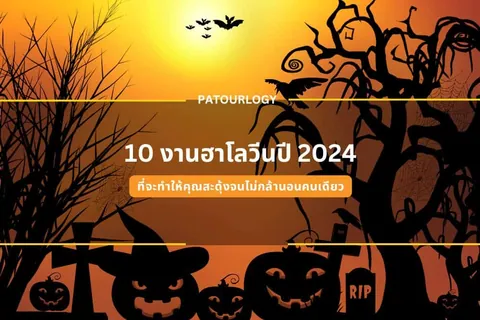 ภาพกราฟิกพื้นหลังสีส้มมีเงาต้นไม้และฟักทองแกะสลัก พร้อมข้อความภาษาไทย '10 งานฮาโลวีนปี 2024' และ 'PATOURLOGY'