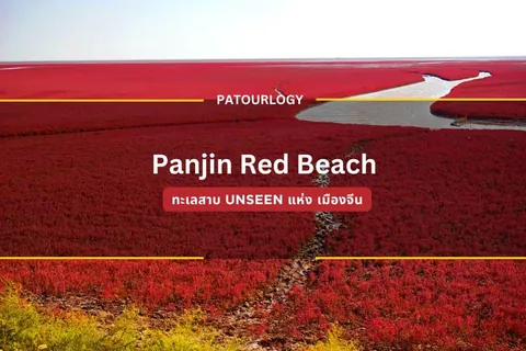 ทิวทัศน์ทุ่งสีแดงเข้มกว้างใหญ่ตัดกับสายน้ำสีเทาอ่อน มีข้อความ "Panjin Red Beach" และ "PATOURLOGY" ปรากฏเด่นชัด