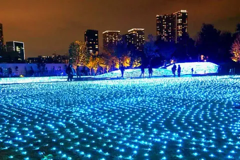 ภาพทัศนียภาพยามค่ำที่พื้นดินเต็มไปด้วยดวงไฟสีน้ำเงินจำนวนมาก เรียงเป็นแถวต่อเนื่องไปจนถึงแนวต้นไม้และกลุ่มอาคารสูงที่มีไฟสว่างในพื้นหลัง