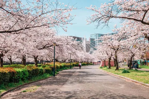 ประเทศที่น่าเที่ยวที่สุดในโลก