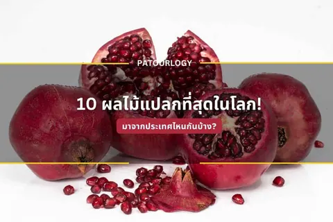 ผลทับทิมสีแดงหลายลูกวางบนพื้นสีขาว มีลูกที่ถูกผ่าเปิดให้เห็นเมล็ดสีแดงเรียงตัวอยู่ภายใน พร้อมเมล็ดที่หลุดร่วงกระจายอยู่ด้านหน้า