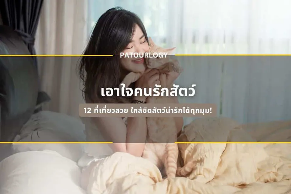 หญิงสาวผมดำนั่งบนเตียงผ้าปูสีครีมกอดแมวสีส้มไว้แนบอก โดยมีข้อความภาษาไทย "เอาใจคนรักสัตว์" และ "PATOURLOGY" ปรากฏอยู่กลางภาพ