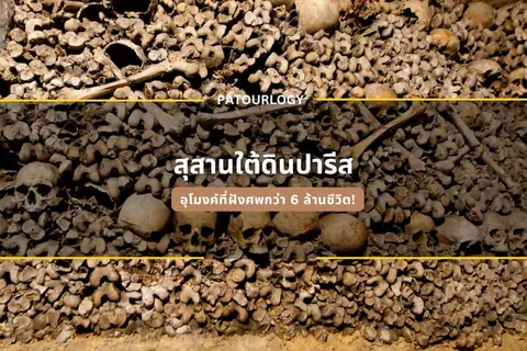 ภาพกองกระดูกมนุษย์จำนวนมากเรียงซ้อนกัน มีกะโหลกศีรษะและกระดูกชิ้นยาวกระจายอยู่ พร้อมข้อความภาษาไทย 'สุสานใต้ดินปารีส' และ 'PATOURLOGY' ปรากฏบนภาพ