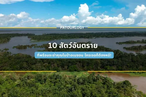 ภาพมุมสูงแสดงผืนป่าสีเขียวและแม่น้ำสายกว้างที่คดเคี้ยวตัดผ่านพื้นที่ราบ มีเมฆสีขาวลอยอยู่บนท้องฟ้าสีฟ้า