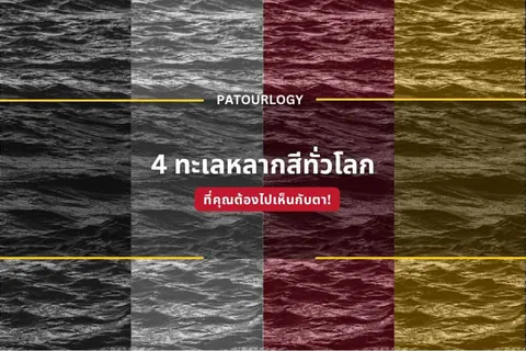 ภาพพื้นหลังลายคลื่นน้ำแบ่งเป็นสี่ช่องสีเทา ดำ แดง และเหลือง มีข้อความ 'PATOURLOGY' และ '4 ทะเลสากสีที่ทั่วโลก' พร้อมแถบสีแดงเขียนว่า 'ที่คุณต้องไปเห็นกับตา!'