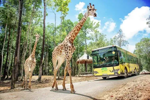 เที่ยวฟูก๊วก ซาฟารีฟูก๊วก (Vinpearl Safari Phu Quoc)