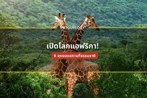 ยีราฟสองตัวยืนหันหน้าเข้าหากันในป่าไม้เขียวขจี มีข้อความภาษาไทย 'เปิดโลกแอฟริกา!' และ '6 สุดยอดสถานที่ที่ควรไป' ปรากฏบนภาพ