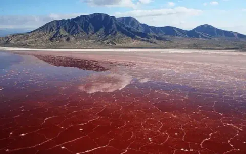 ทะเลสาบนาตรอน (Lake Natron)