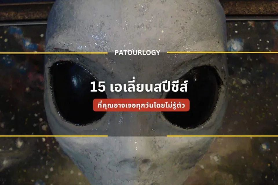 หัวหุ่นจำลองสีเทาที่มีดวงตาดำขนาดใหญ่และพื้นหลังสีเข้ม มีข้อความ 'PATOURLOGY' และ '15 เจเลี่ยนสปีชีส์' ปรากฏอยู่ตรงกลาง