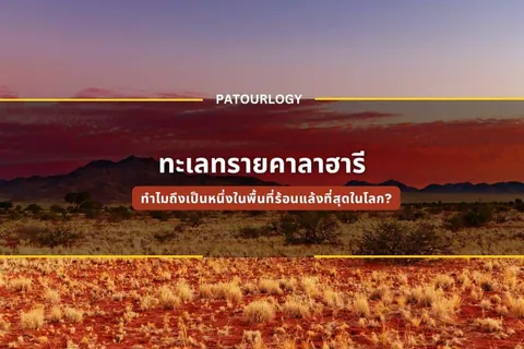 ภาพทิวทัศน์ทะเลทรายที่มีภูเขาอยู่เบื้องหลัง ท้องฟ้าเป็นสีแดงส้ม มีข้อความ "PATOURLOGY" และ "ทะเลทรายคาละฮารี" อยู่ตรงกลาง
