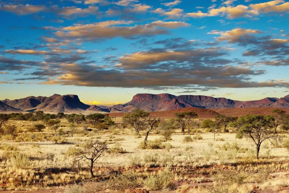 ทะเลทรายคาลาฮารี (Kalahari Desert)