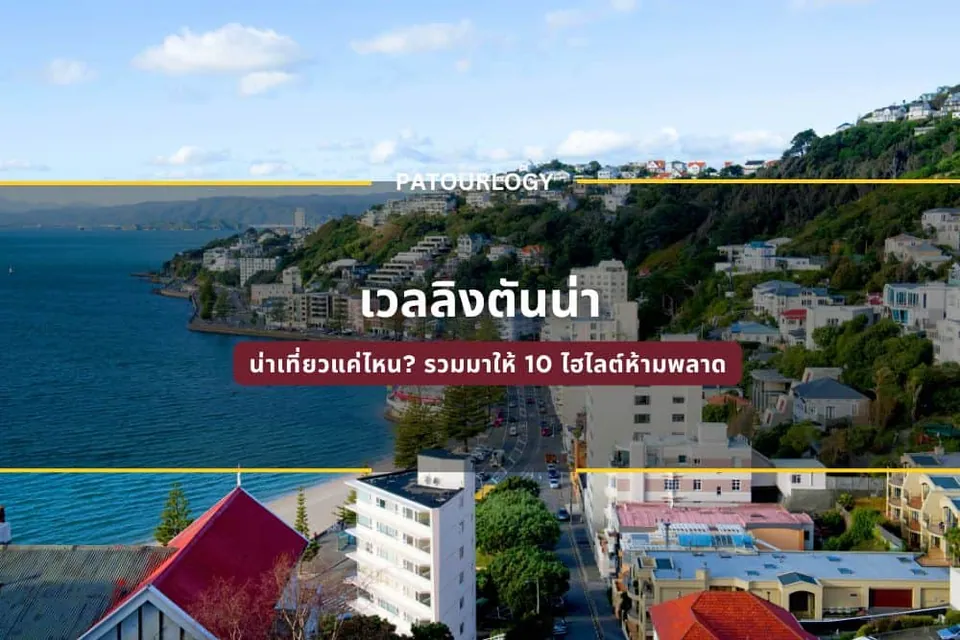 ภาพมุมสูงของเมืองริมทะเลที่มีอาคารบ้านเรือนกระจายอยู่บนเนินเขาและชายฝั่ง พร้อมข้อความไทย 'เวลลิงตันน่า' และ 'PATOURLOGY' ทับบนภาพ